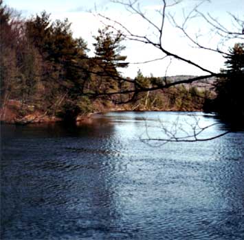 Sink or Swim: The Curse of the Saco River