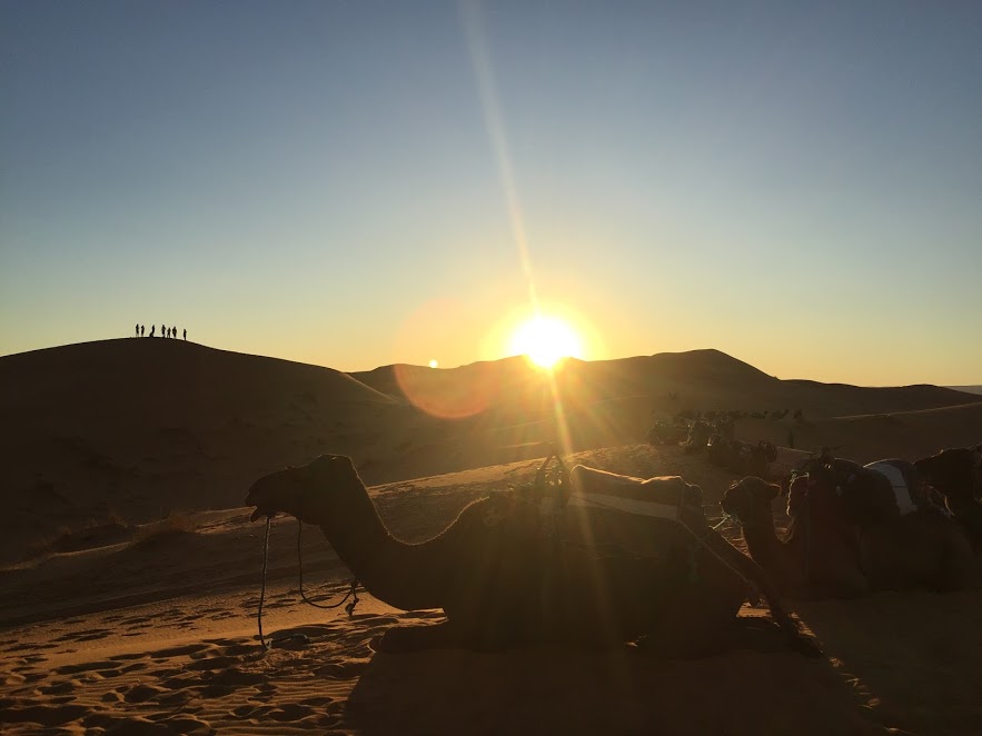 Under Saharan Stars