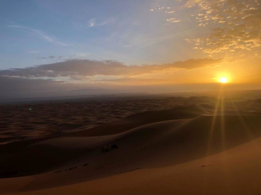 Views In The Sahara 