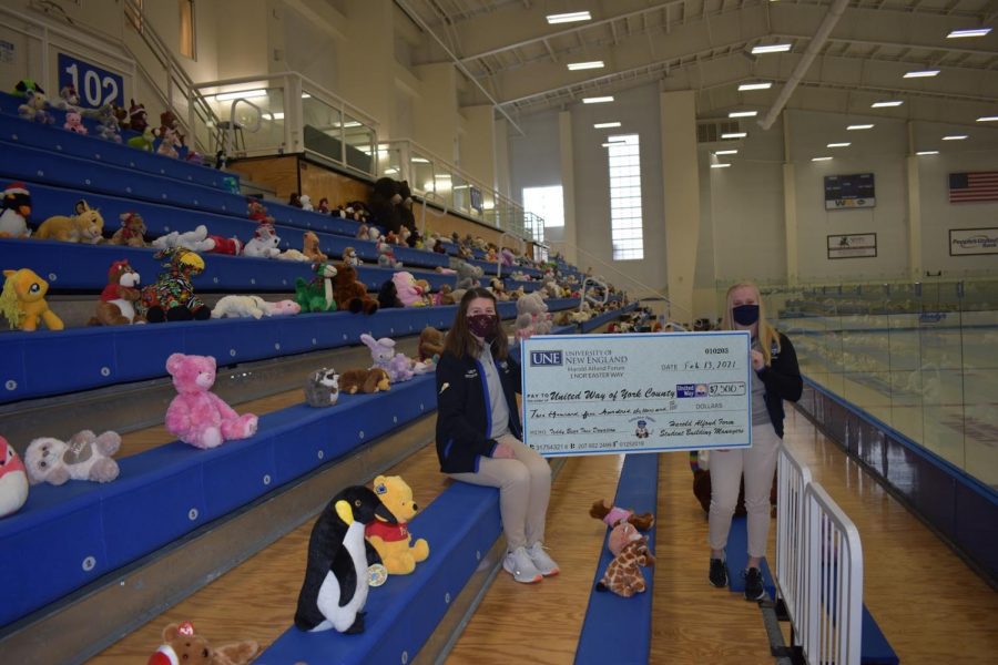 Teddy bears line the stands at the Harold Alfond Forum.