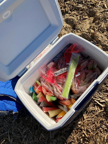 Cooler full of uneaten ice pops.