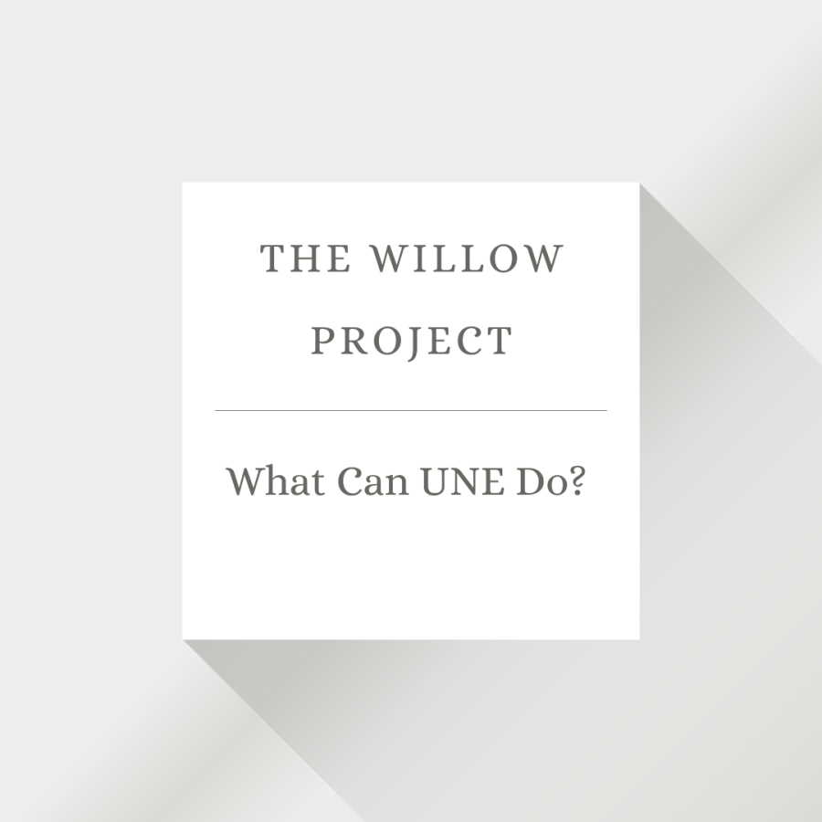 The Willow Project: What Can UNE Do?