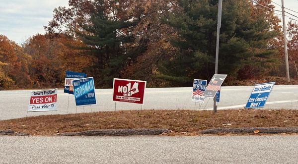 Signs for the upcoming elections dot the side of the road.